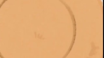 Merayakan Hari Jadian Bercinta dengan Pacarku